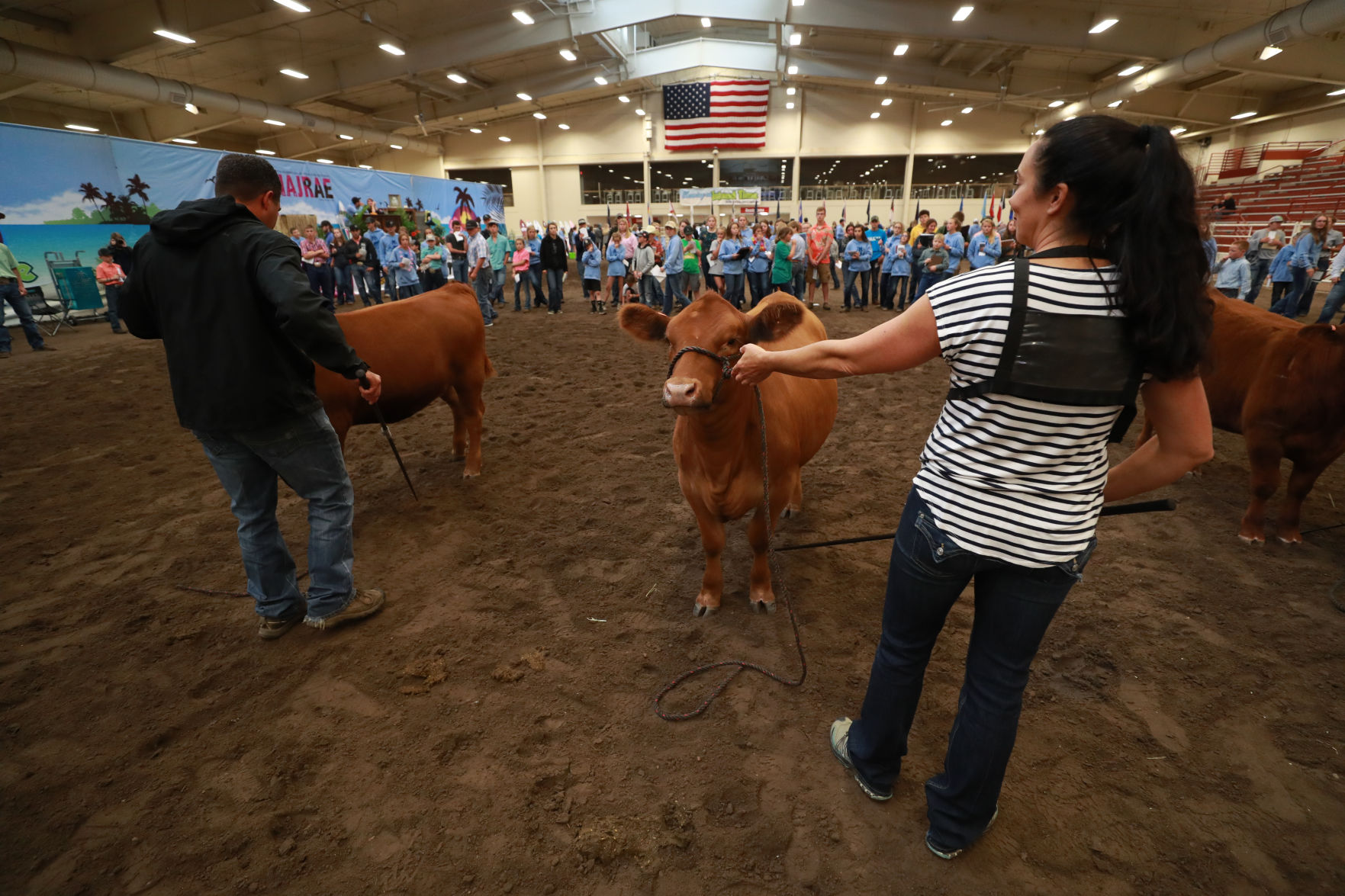 061819_RedAngusJudging28_bjs.JPG